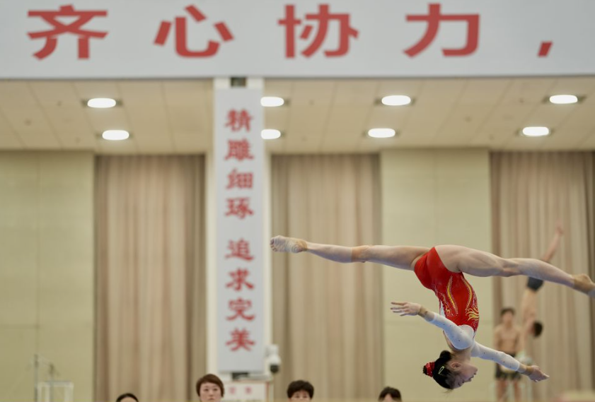 乐鱼体育网址，汇聚全球体育赛事信息