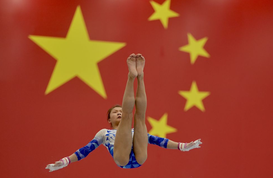 乐鱼体育下载app 用户评价与使用体验分析